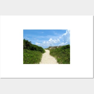 Pathway To The Beach Posters and Art